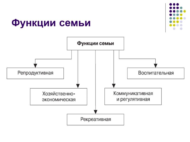 Функции семьи